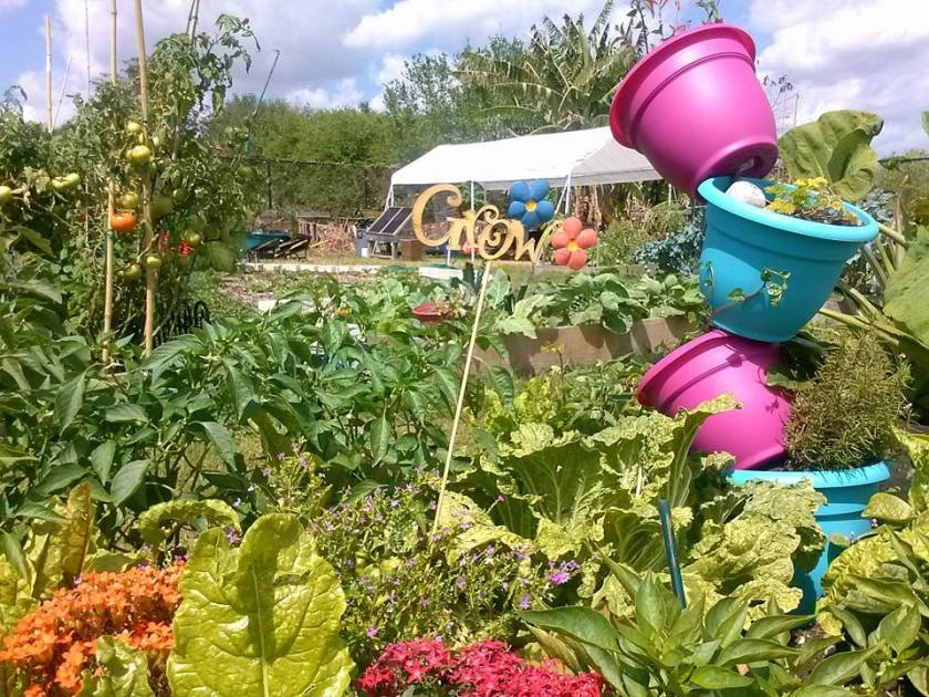 A garden plot to literally "crow" about!