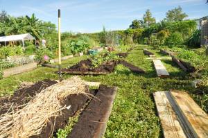 boxesalllaidoutboxessept15